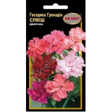 Насіння Гвоздика Гренадін Суміш